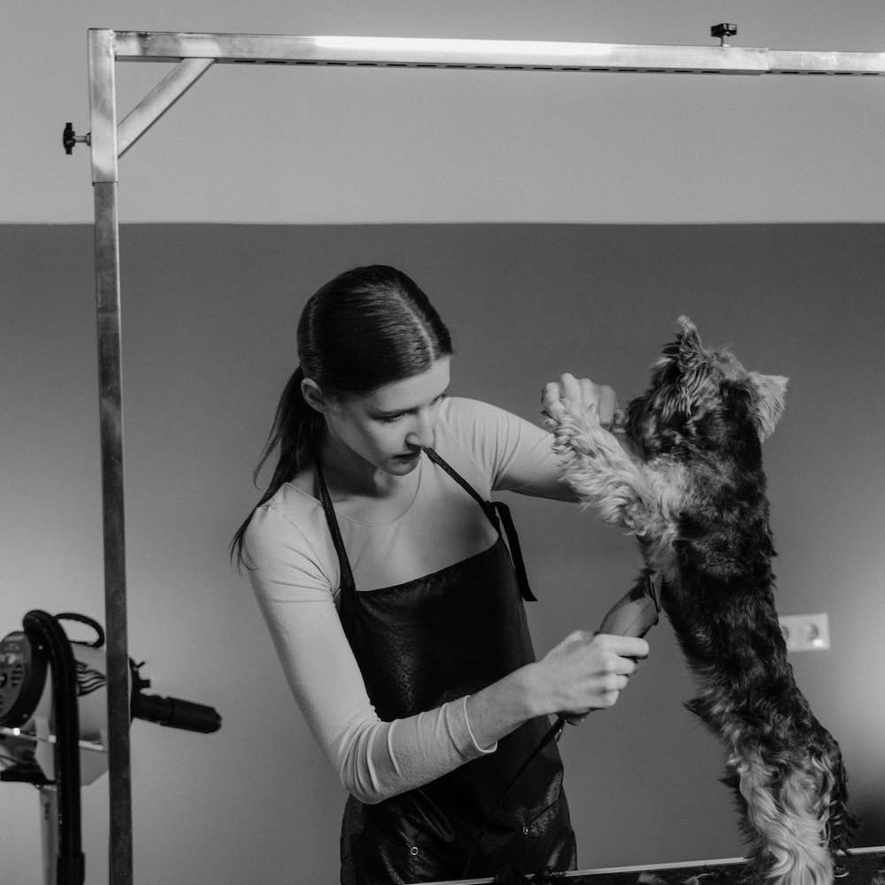 Groomers
