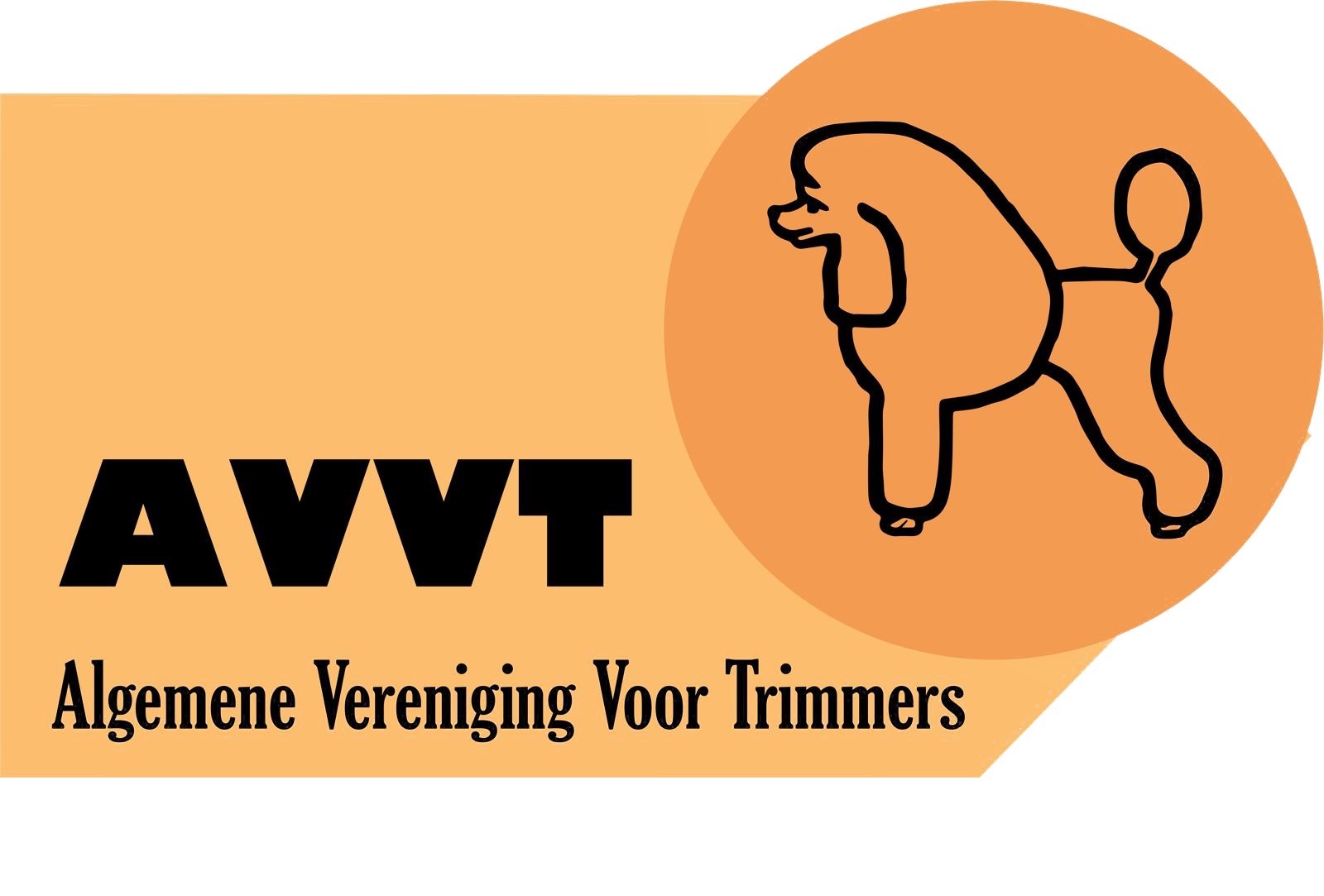 2025 avvt logo