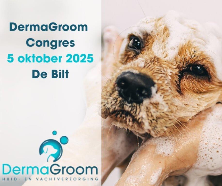 Dermagroom congres