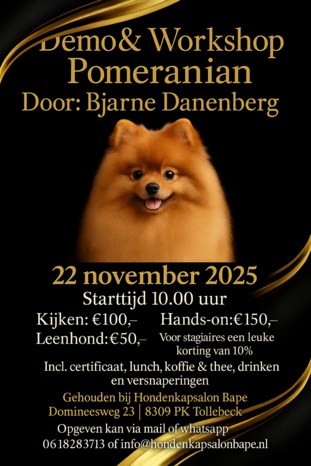 2025 evenement Bape Bjarne