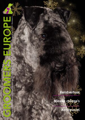 GE vakblad 2025, nr. 6