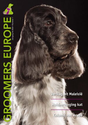 GE vakblad 2026 nr. 1