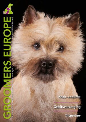 GE vakblad 2026 nr. 2