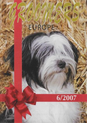 GE vakblad 2007, nr. 6