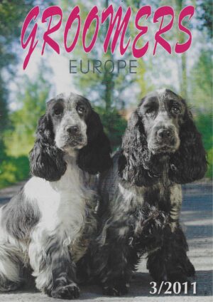 GE vakblad 2011, nr. 3