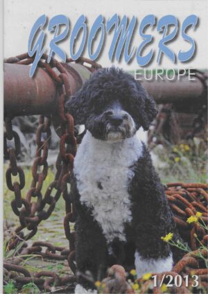 GE vakblad 2013, nr. 1